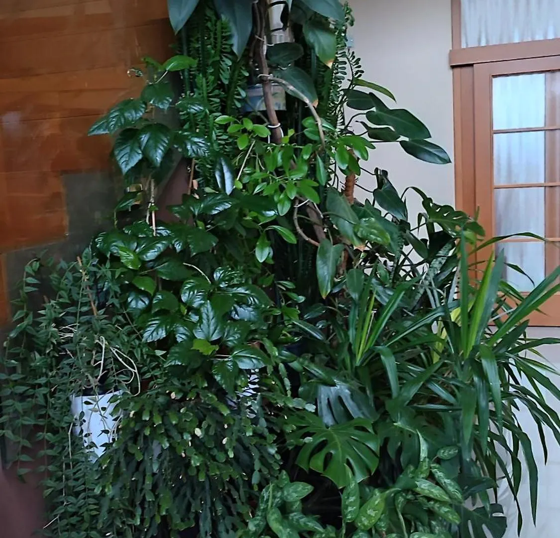 Villa Homestay Nad Helmrovkou Praga